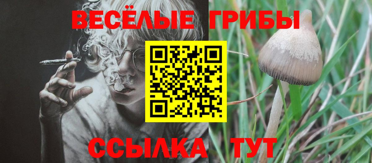 Галлюциногенные грибы Cubensis Искитим